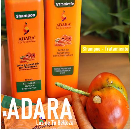 Combo Shampoo y Tratamiento lisos Leche  de Zanahoria (Copia)